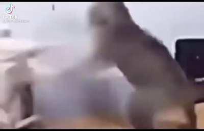 Funi cate 😂😂😂