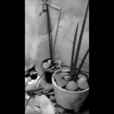 Tom & Jerry Live Action Figure