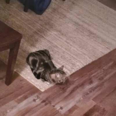 Love how he grunts in frustration at the end because I'm not listening.