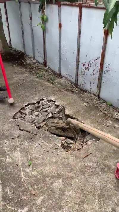 What would be your reaction when you see this?