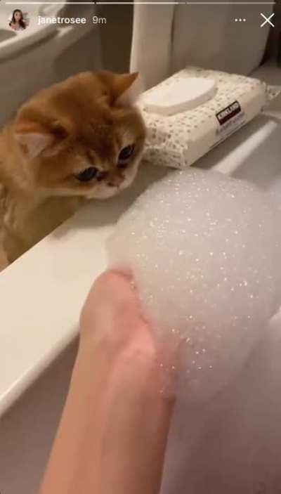 Janet in the bath with her kitty