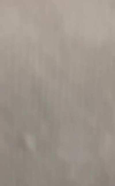 Yes, he is a pro at hide & seek.