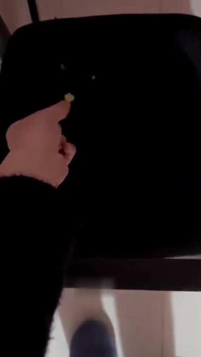 My chair loves treats