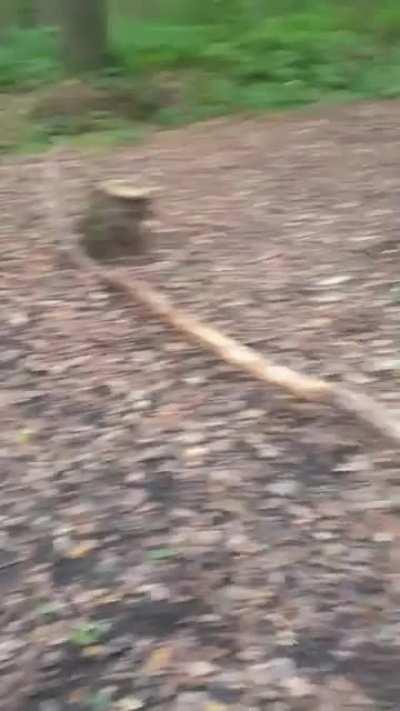 Finally met his match