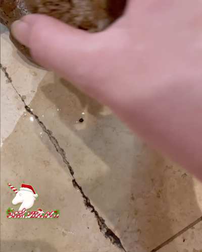 ✨Face down, ass up, shit all over✨