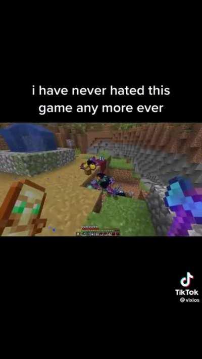 I would never play the game again