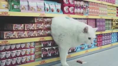 Not a bad ad, but a weird ad