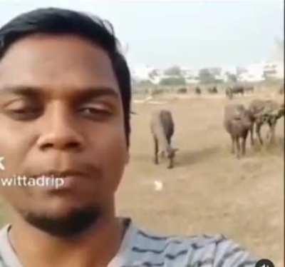 fortnite burger gang