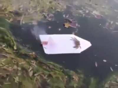 first ever crab launcher