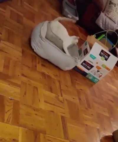 C@ installing in the wrong place