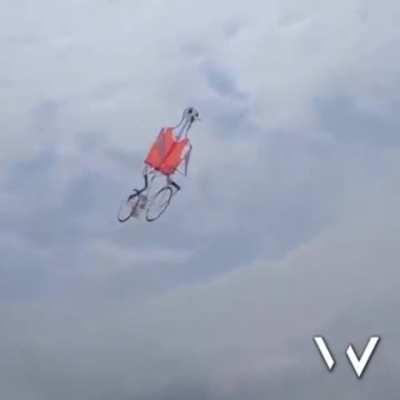 What could go right Bicycle Kite!