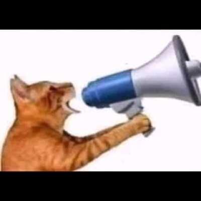 Buen día grupooo 😍