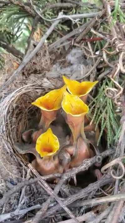 Don't screw mother nature...