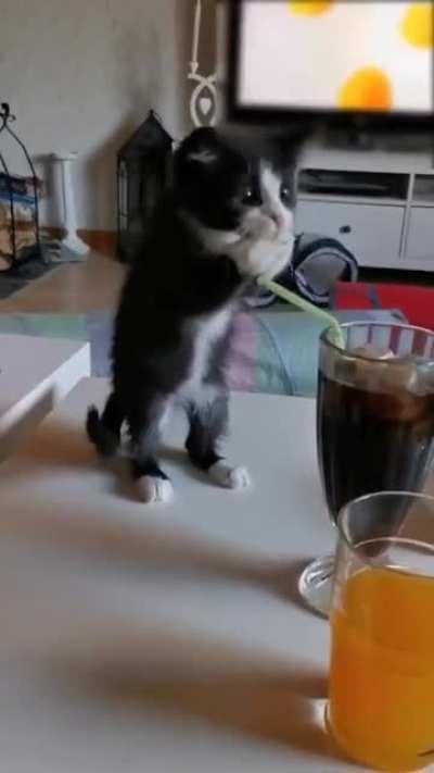 I want to drink like you