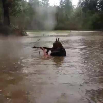 Cuide de seus arredores soldado