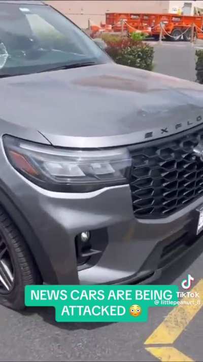 Just another peaceful democratic protest.