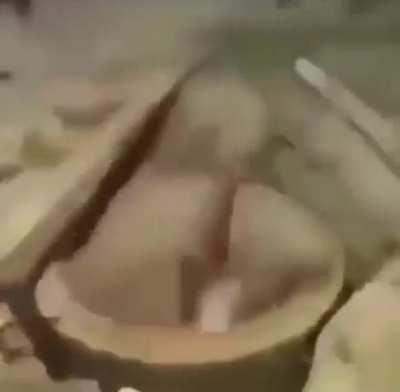 princess peach need me