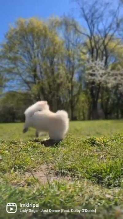 Sunny days are the best!