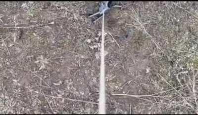 A Ukranian drone is helping its crashed buddy