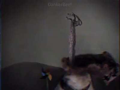 cursed_Nelsons Brother