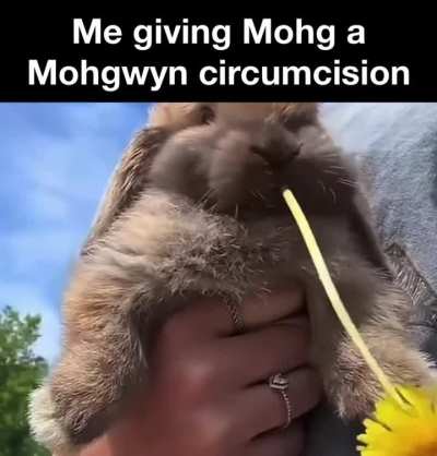 This is a lie I would never get rid of his foreskin