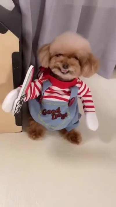 I will catch you 🤣