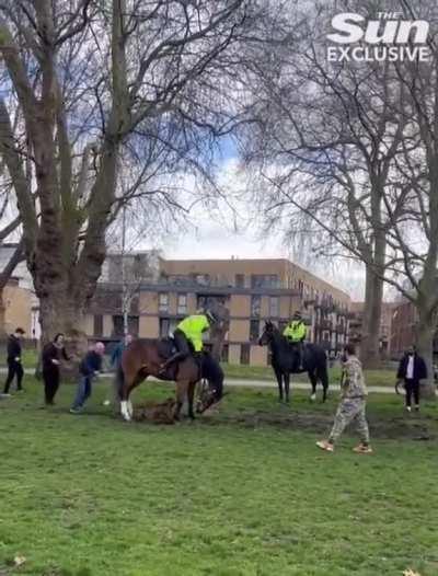 If your dog doesn't listen to you then keep them on a leash.