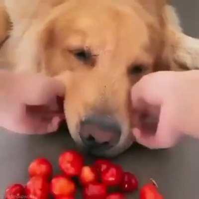 Almost got away with it!