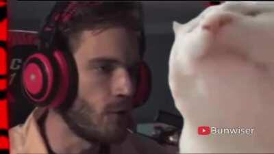 I remixed Pewds saying he's friends with the bees. I hope he likes it