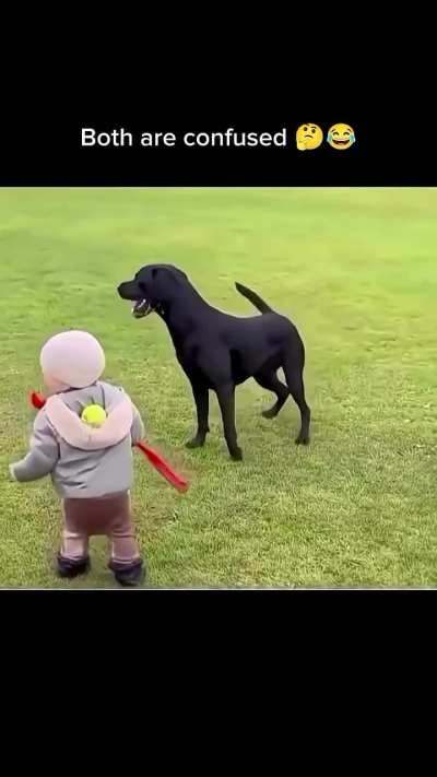 Both: Where did it go?