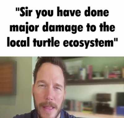 baby koopas running to the ocean? not on my watch