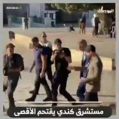 What are those idiots doing there ??