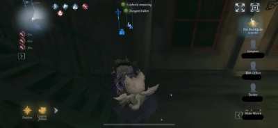 Looking for some honest feedback on this kite?