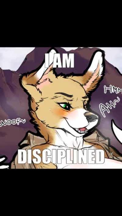 Marines 🏳️‍🌈🤠