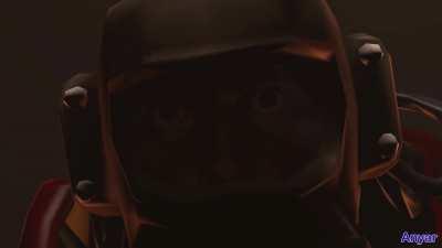 Meet the Hoarding Bug Mafia—an animation