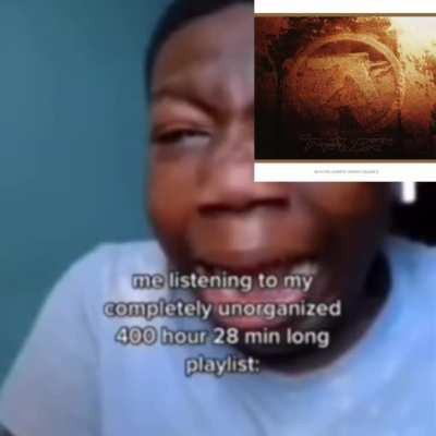 idm playlists be like