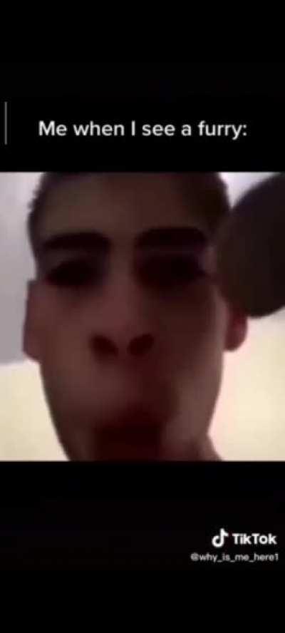 me when I see a furry: