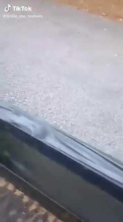 Pero que has pisao Yeison