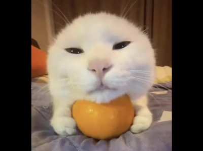 Maybe wunk does deserve all that