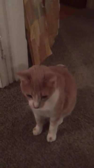 Honest question, honest answer