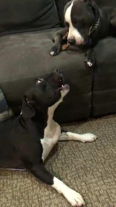 He has just resorted to ignoring her talking nowadays.