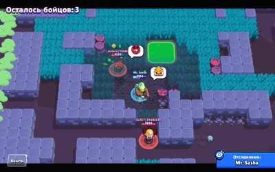 FLYING BEAR brawl stars bug flying brawlers and their pets