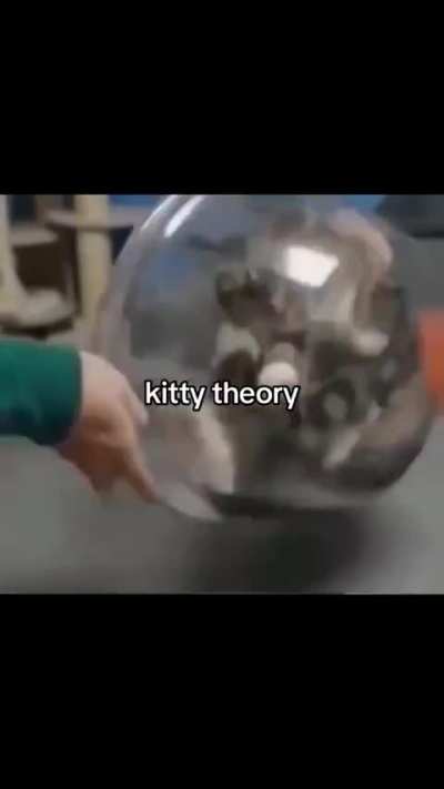 They will be observed