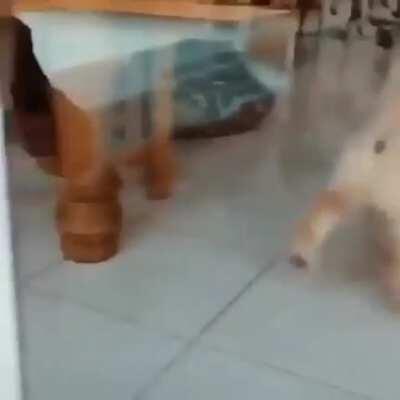 Proud to terrified in no time