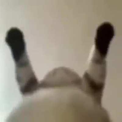 YO CUANDO EL CRISITAN DICE QUE QUIERE CERRAR EL REDDIT 😡