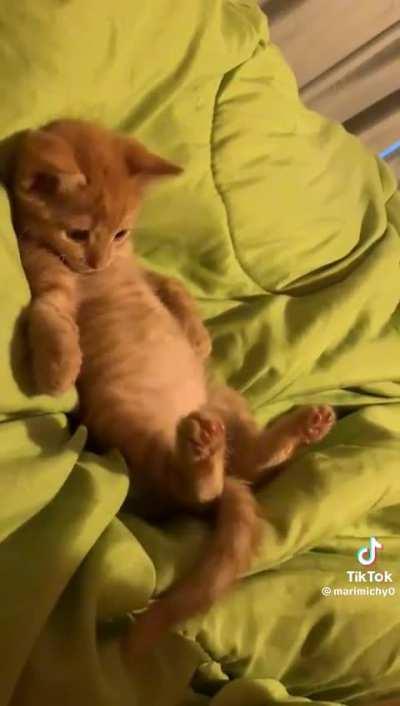 “What the heck is this?”