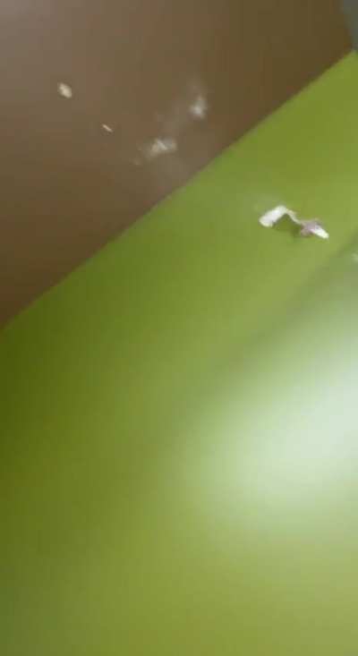 a guy in my hometown hung his gun on the coat rack while going to the bathroom and ND’d into the ceiling when he tried to grab it