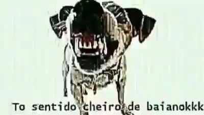 Um título interessante