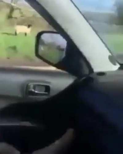 Ya todos se creen &Oacute;scar