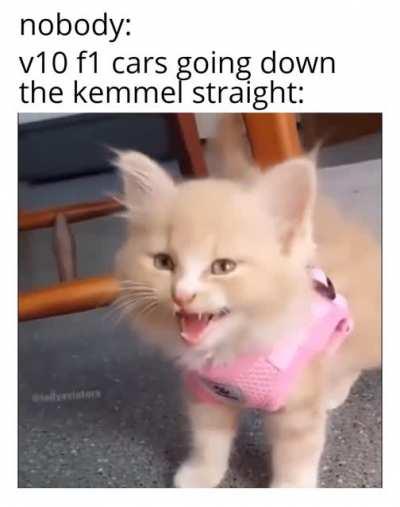 NnnnnnEEEEEEEEEEEEWWWWWWWOOOoooooo